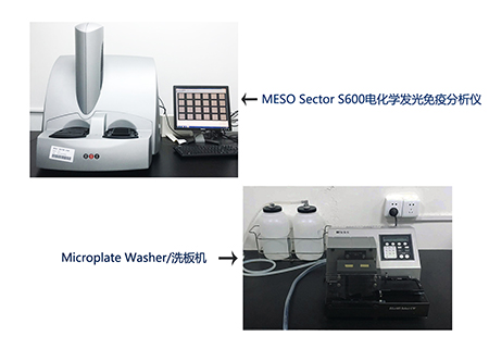 AG真人国际(中国)官方官网电化学发光免疫分析仪和全自动洗板机