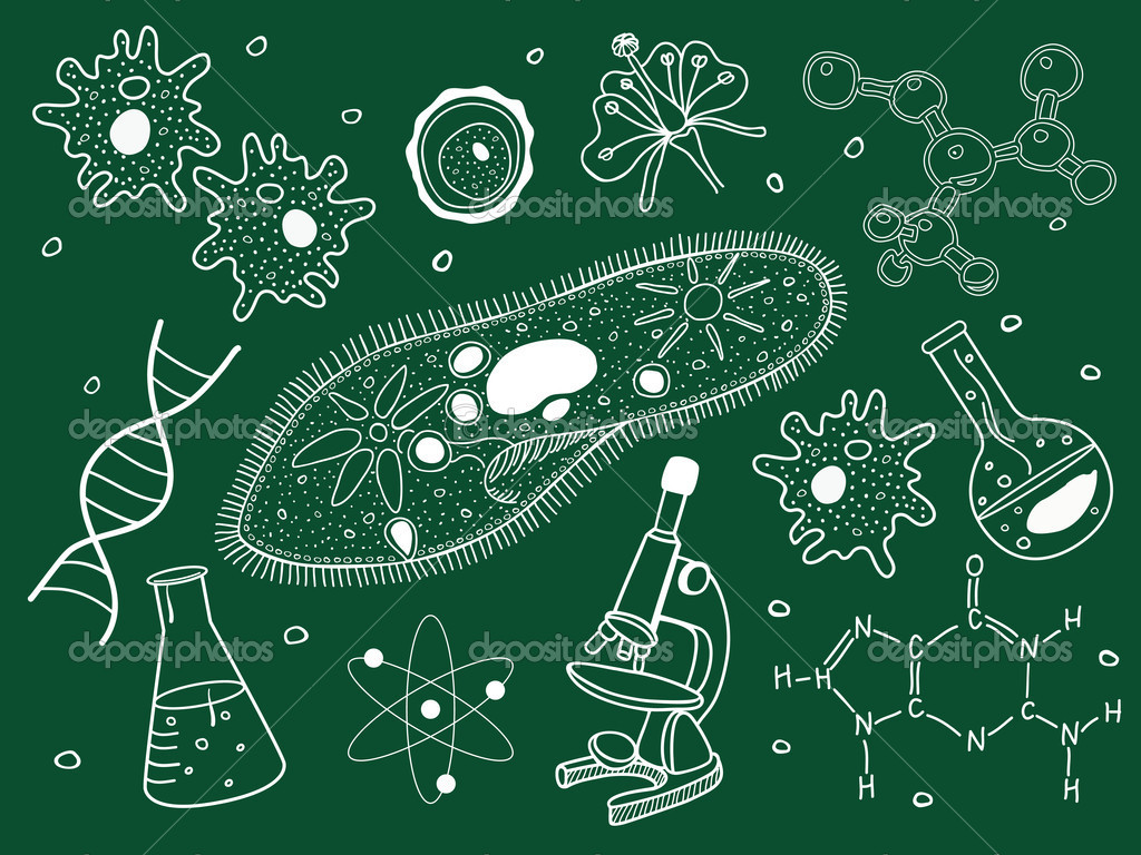 Nature：科学家找到杀死抗药细菌的新靶点