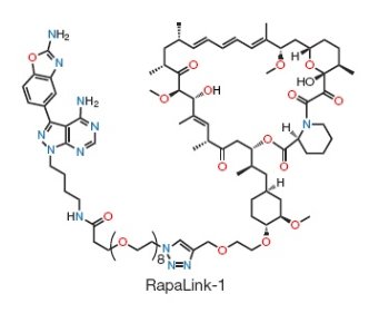 Rapalink-1