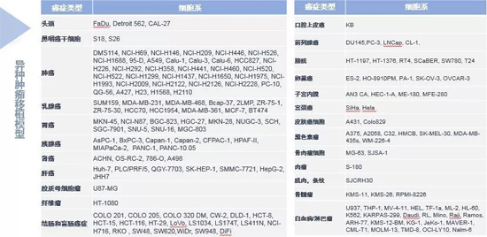 AG真人国际(中国)官方官网药效学动物模型