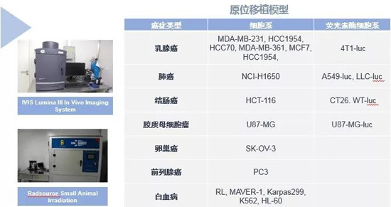 AG真人国际(中国)官方官网药效学动物模型