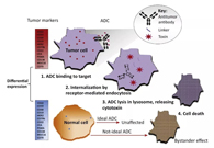 浅析：ADC药物的抗癌之路