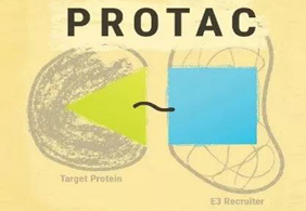 热点前沿:PROTAC初露锋芒，SD-36对抗肿瘤效果卓越