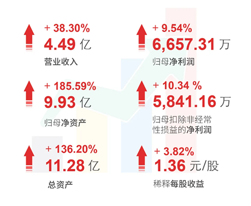 AG真人国际(中国)官方官网 财务亮点