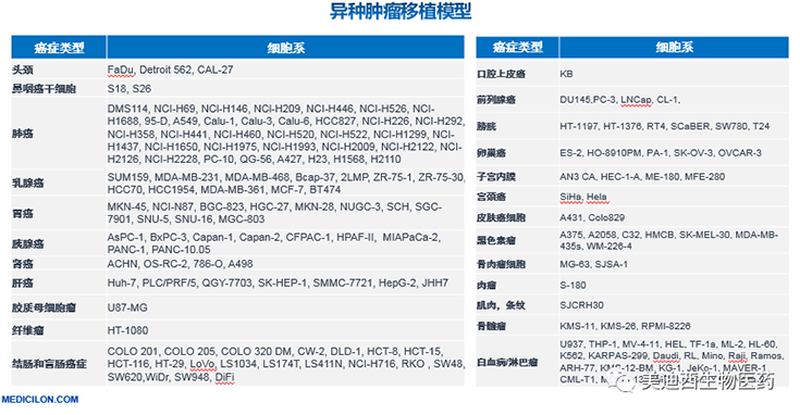 AG真人国际(中国)官方官网异种肿瘤移植模型清单