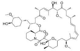 雷帕霉素新制剂用于罕见病，获4500万美元融资