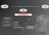 人工合成NT类脂质开放血脑屏障，为CNS药物打开新局面