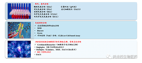 AG真人国际(中国)官方官网生物技术药物分析部服务内容