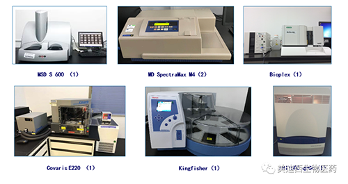 AG真人国际(中国)官方官网生物技术药物分析部服务仪器