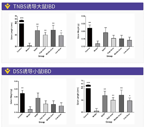 TNBS诱导的大鼠IBD、DSS诱导的大鼠IBD