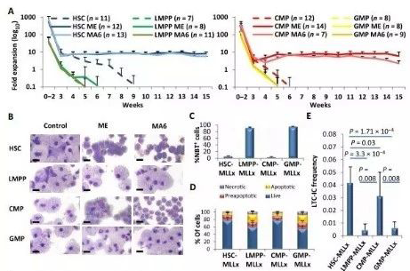 Science子刊：一种FDA批准的抗腹泻药物可有效对抗化疗的耐药性 AG真人国际(中国)官方官网生物医药