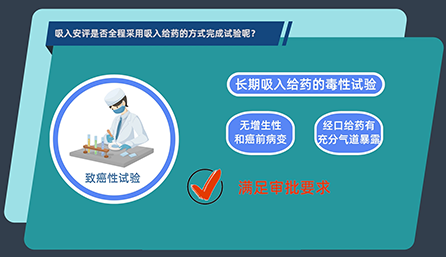 吸入安评是否全程采用吸入给药的方式完成试验呢？