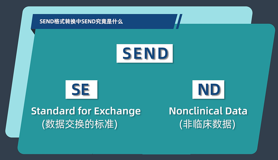 SEND格式转换中的SEND究竟是什么？