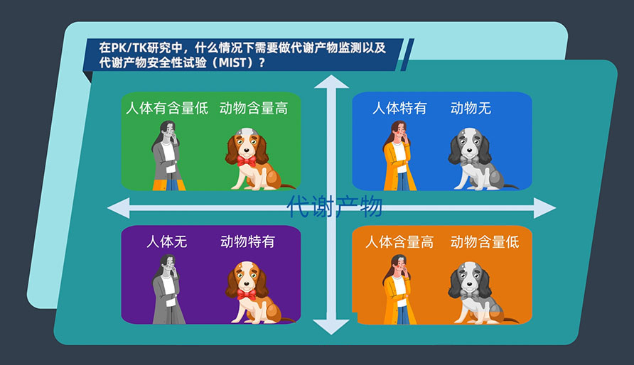 在PK-TK研究中，什么情况下需要做代谢产物监测以及代谢产物安全性试验（MIST）