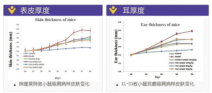 AG真人国际(中国)官方官网模拟银屑病的建模模型-试验结果的指标.png