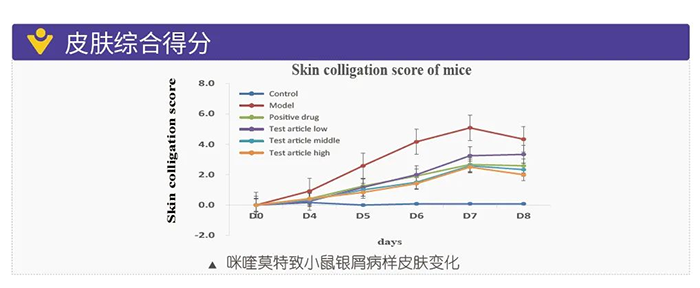 AG真人国际(中国)官方官网模拟银屑病的建模模型-皮肤综合得分.png