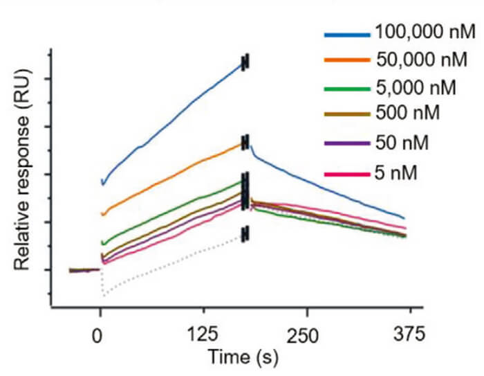 Surface-plasmon-resonance-(SPR).jpg