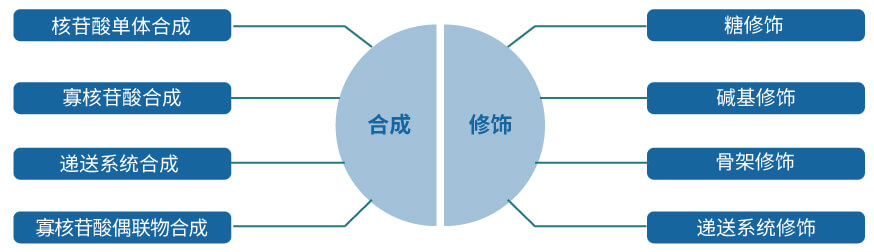 AG真人国际(中国)官方官网核酸药物研发服务平台.jpg