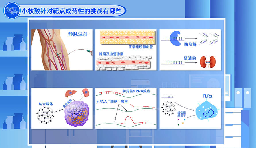 小核酸针对靶点成药性的挑战有哪些？