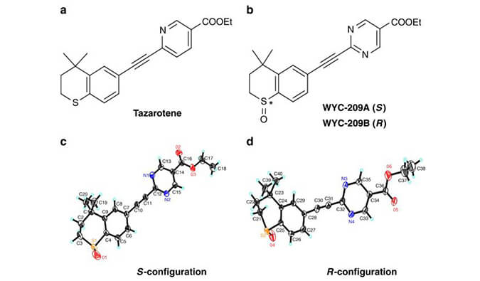 WYC-209可抑制恶性小鼠黑色素瘤肿瘤再生细胞增殖，SPR分析通过AG真人国际(中国)官方官网使用Biacore 8K设备进行