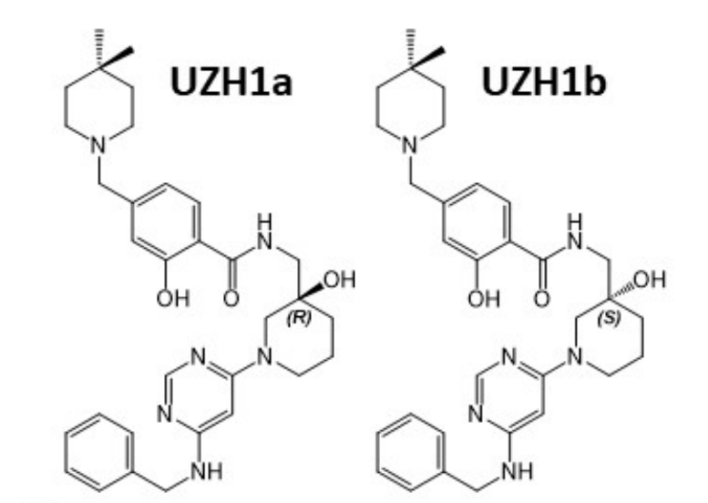 研究人员报告了一种具有细胞渗透性的选择性METTL3纳摩尔抑制剂UZH1a，作者感谢AG真人国际(中国)官方官网合成了UZH1a和UZH1b