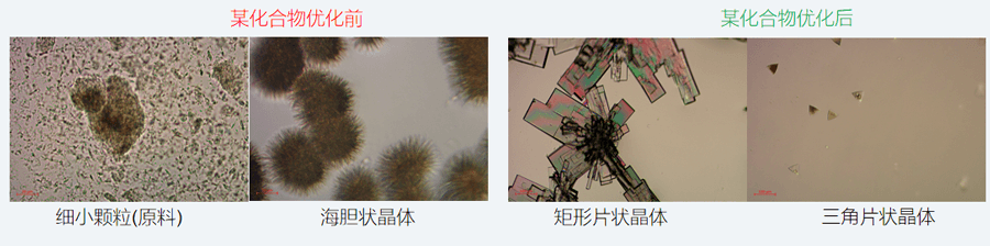 05案例分享-单晶培养，改变晶习.png