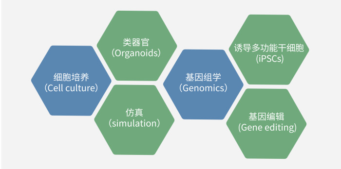 六大技术板块已上线，持续升级中.jpg