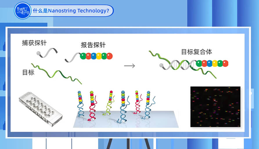 什么是Nanostring 技术？