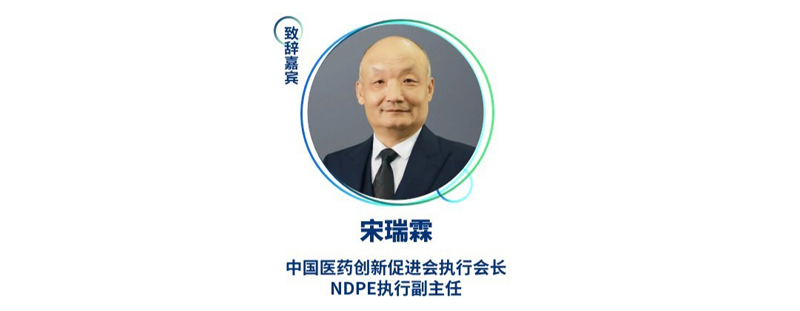 宋瑞霖--中国医药创新促进会执行会长、NDPE执行副主任.jpg