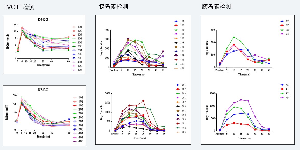 案例4：食蟹猴IVGTT和胰岛素检测实验.jpg