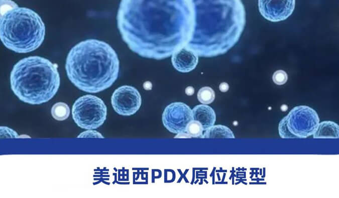 AG真人国际(中国)官方官网118种PDX原位模型，助力肿瘤药物研发