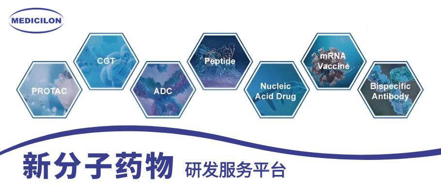AG真人国际(中国)官方官网新分子药物研发服务平台